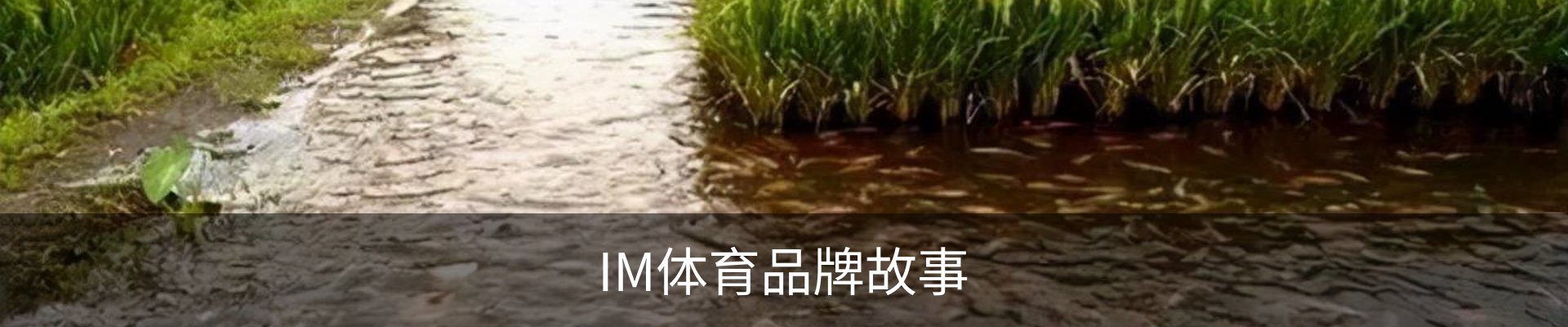 IM体育品牌故事